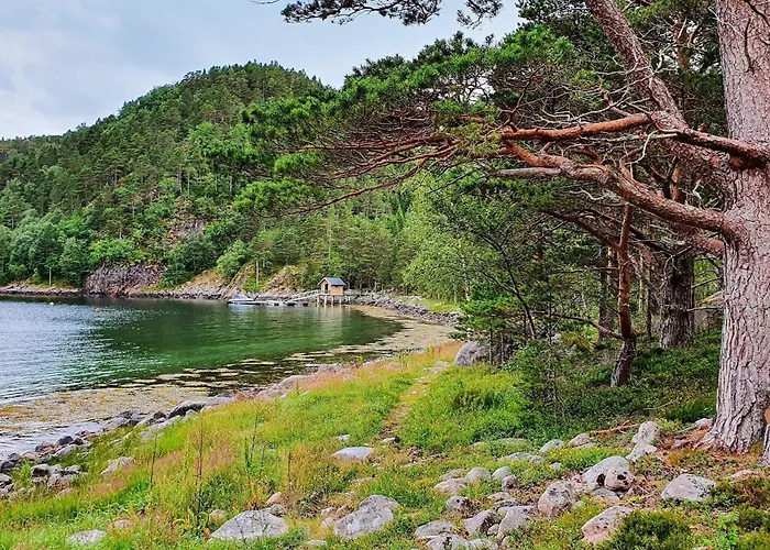 8 Person In Sundlandet